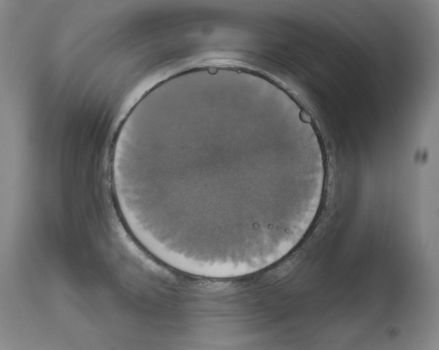 X0000112911382200910051032
