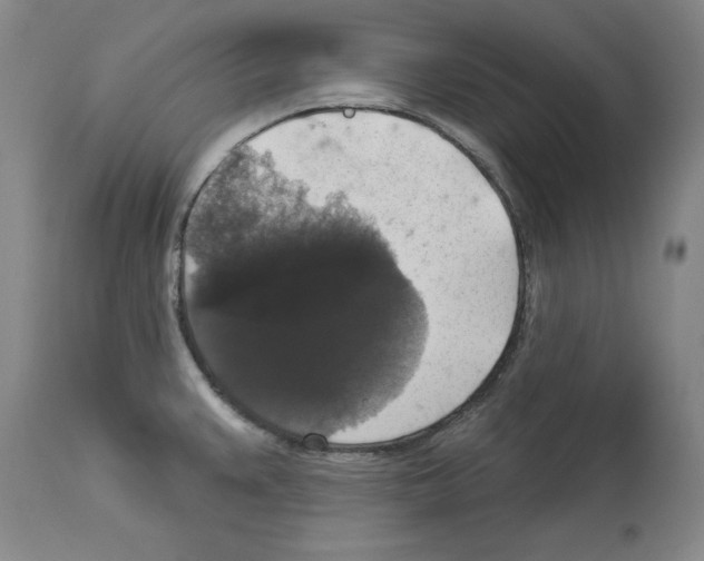 X0000112911383200910051032