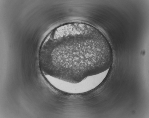 X0000112911384200910051032