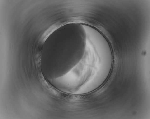 X0000112911385200910051032