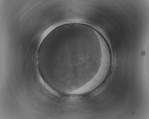 X0000112911389200910051032