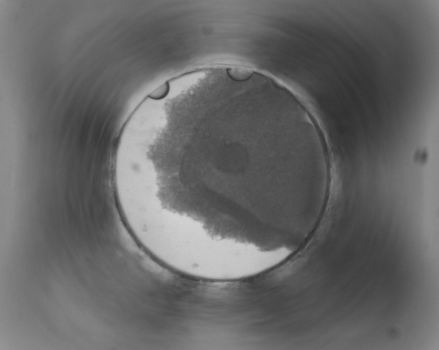 X0000112911390200910051032