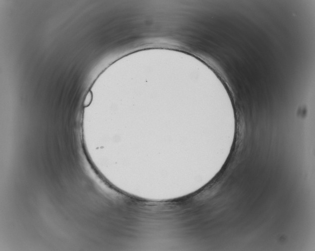 X0000112911391200910051032