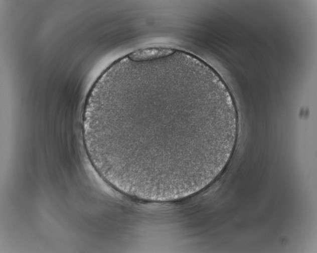 X0000112911392200910051032