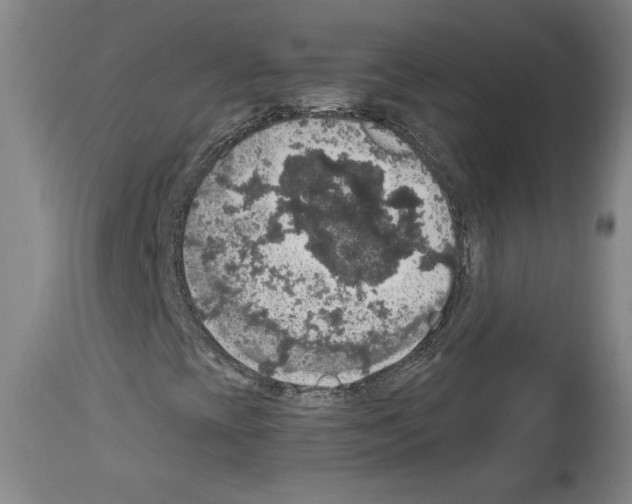 X0000112911393200910051031