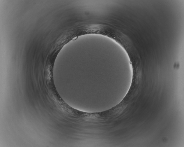 X0000112911394200910051031
