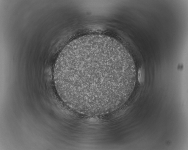 X0000112911395200910051031