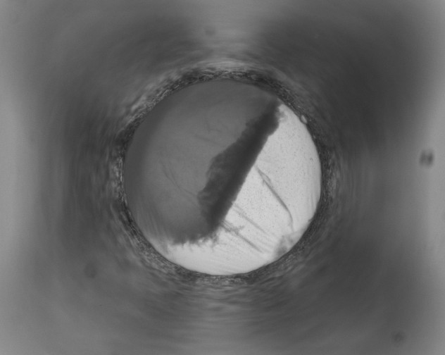 X0000112911397200910051031