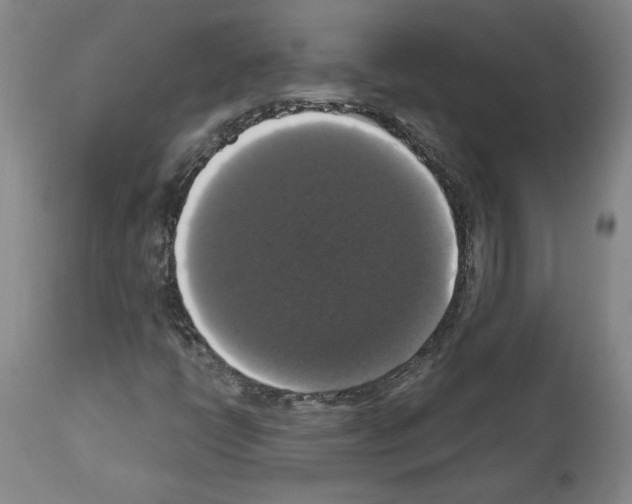 X0000112911398200910051031