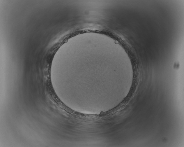 X0000112911399200910051031