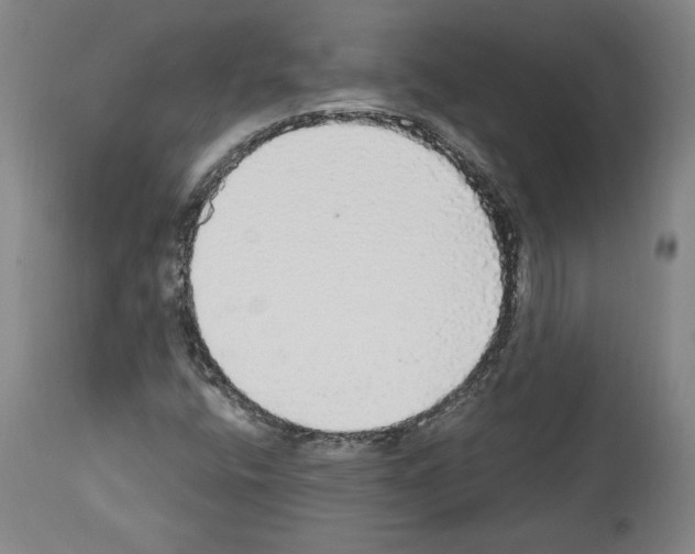 X0000112911400200910051031