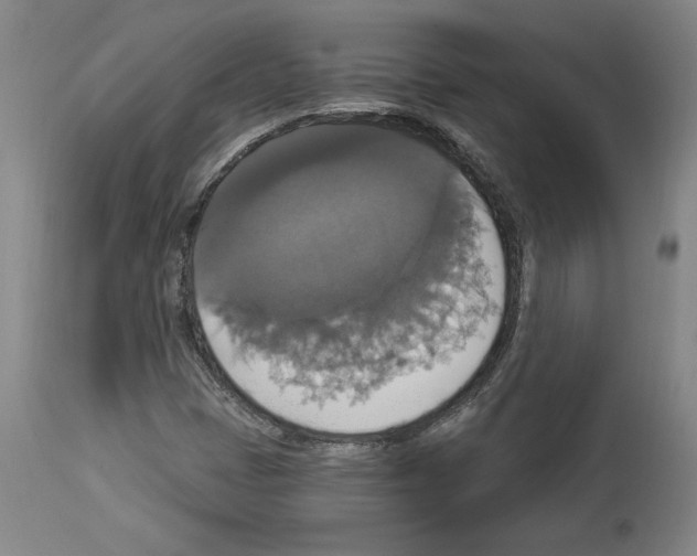 X0000112911401200910051031