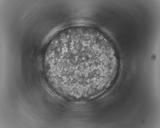 X0000112911403200910051031