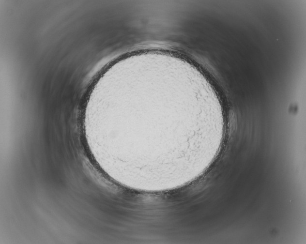 X0000112911404200910051031