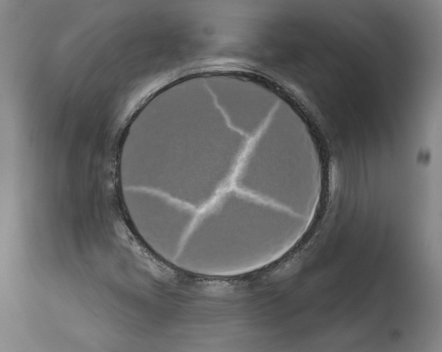 X0000112911405200910051031