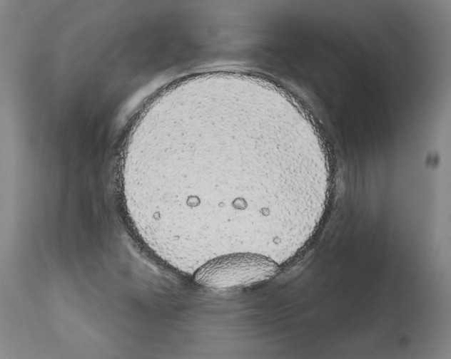 X0000112911406200910051031