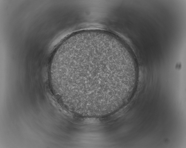 X0000112911407200910051032