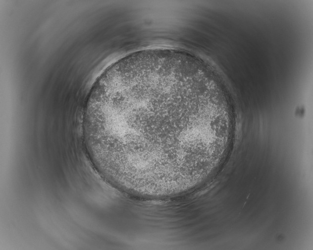 X0000112911409200910051032