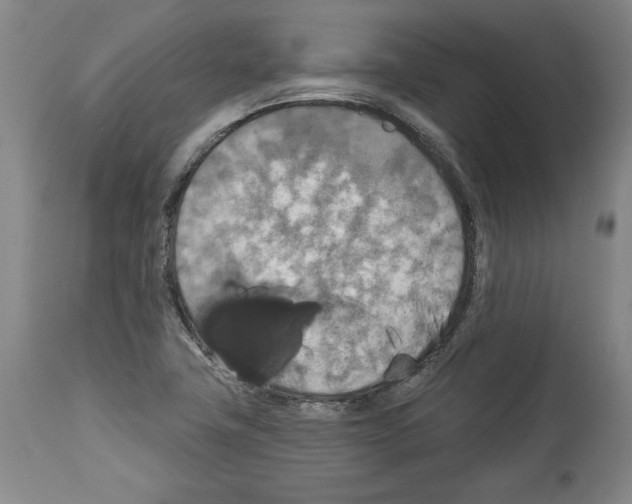 X0000112911411200910051032