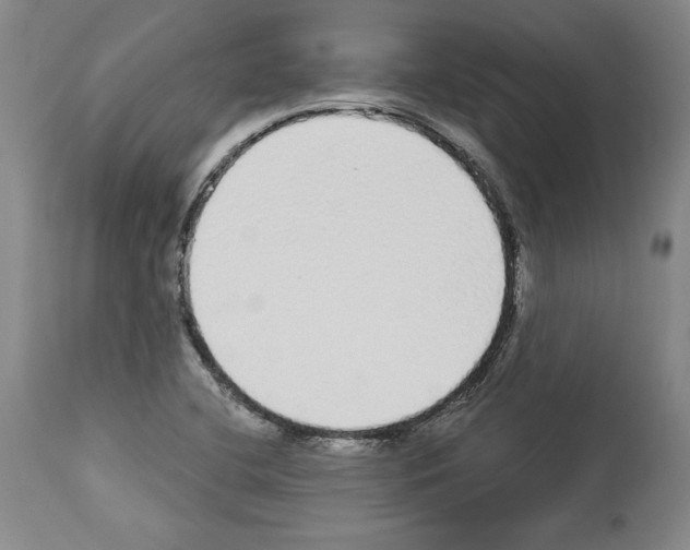 X0000112911412200910051032
