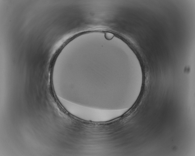 X0000112911414200910051032