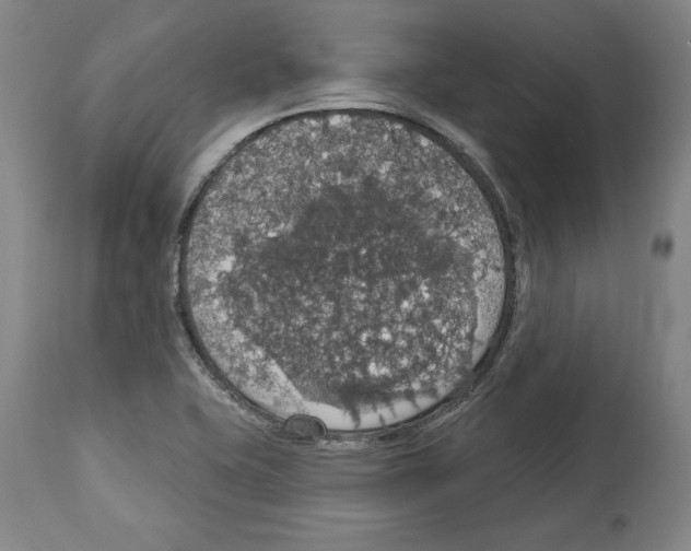 X0000112911415200910051032