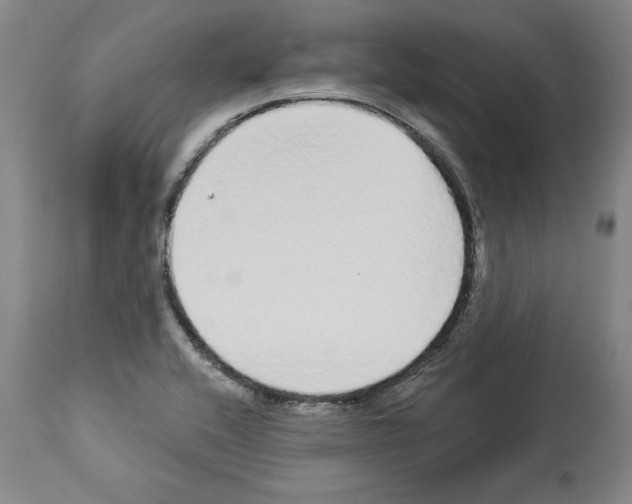 X0000112911416200910051032