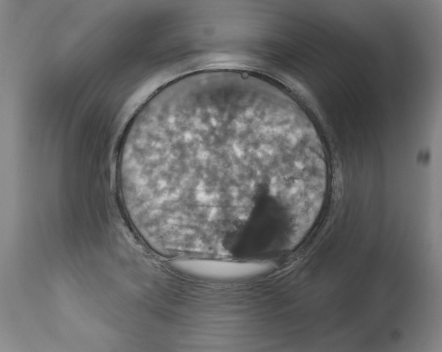 X0000112911419200910051032