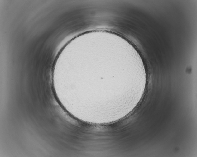 X0000112911420200910051032