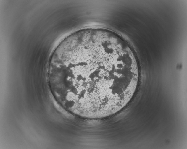 X0000112911421200910051032