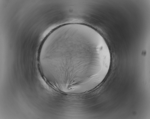 X0000112911422200910051032