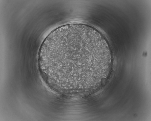 X0000112911423200910051032