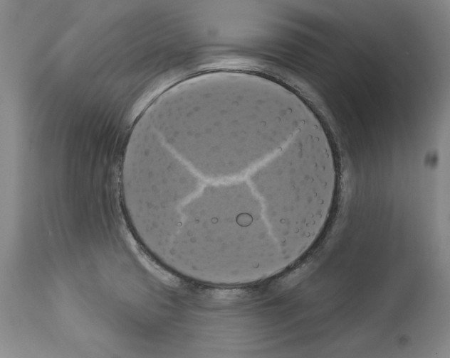 X0000112911425200910051032