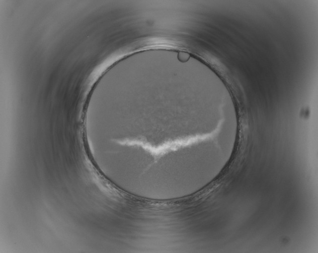 X0000112911427200910051032
