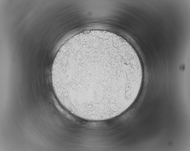 X0000112911433200910051032