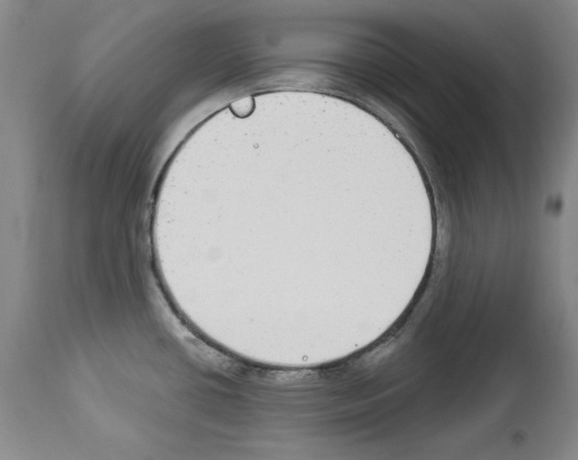 X0000112911434200910051032