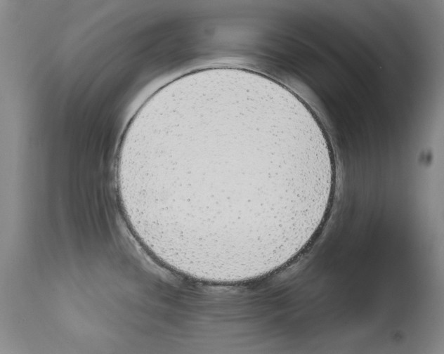 X0000112911436200910051032