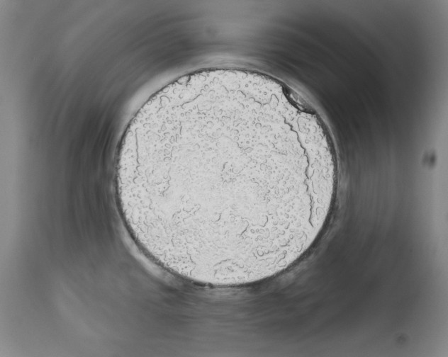 X0000112911437200910051032