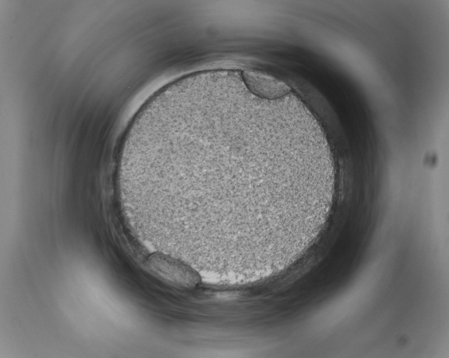 X0000112911438200910051032