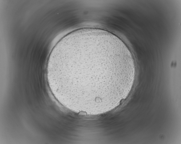 X0000112911440200910051032
