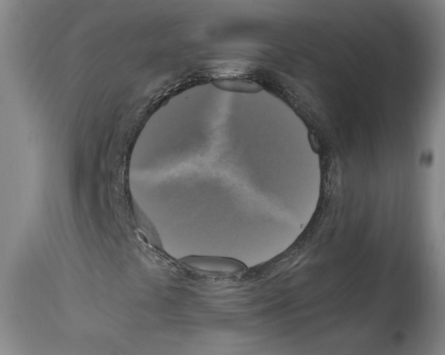 X0000112911441200910051031