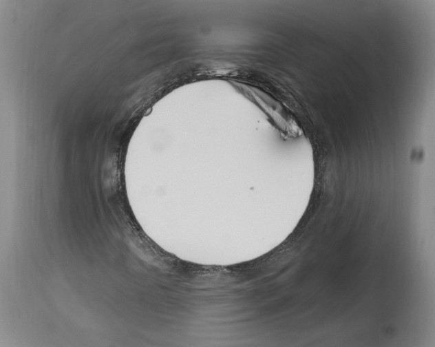 X0000112911442200910051031