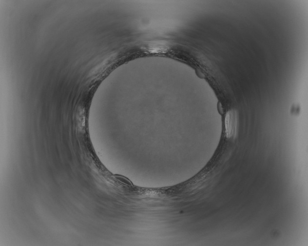 X0000112911443200910051031