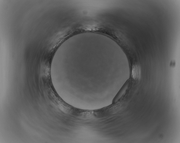 X0000112911444200910051031