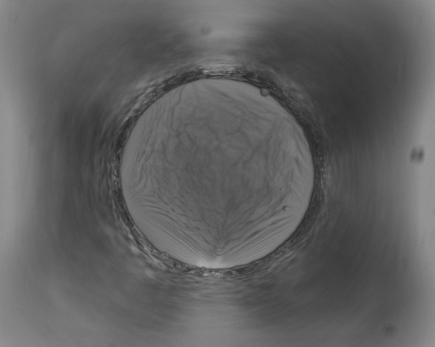 X0000112911445200910051031
