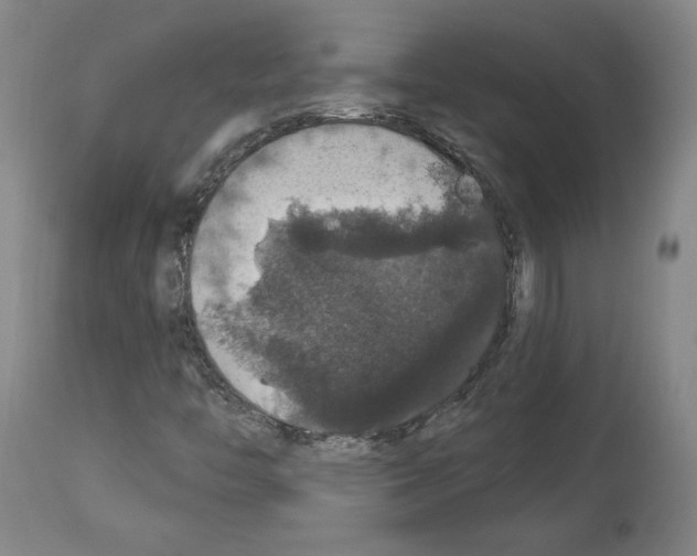 X0000112911446200910051031