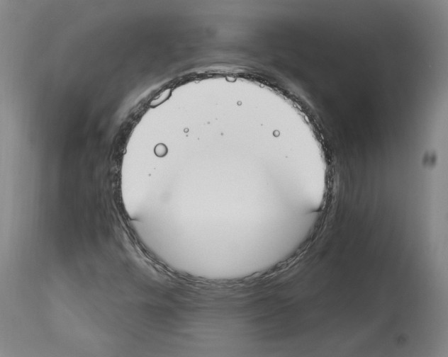 X0000112911448200910051031