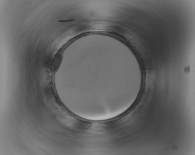 X0000112911449200910051031