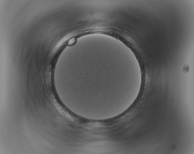 X0000112911450200910051031