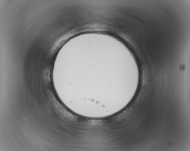 X0000112911451200910051031